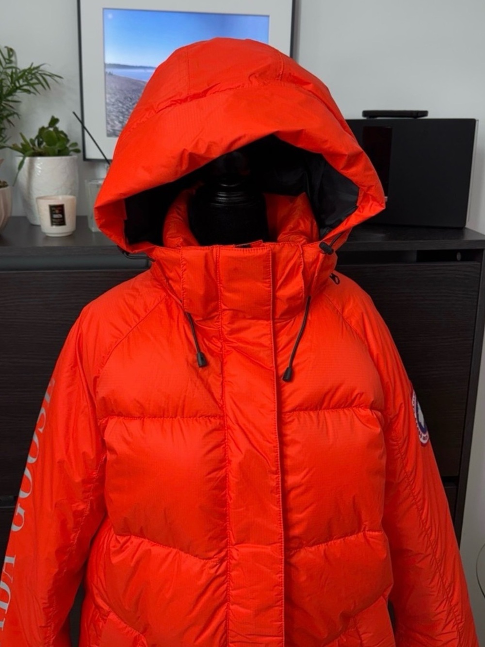 Canada Goose Approach Jacket - Picture 11 of 13